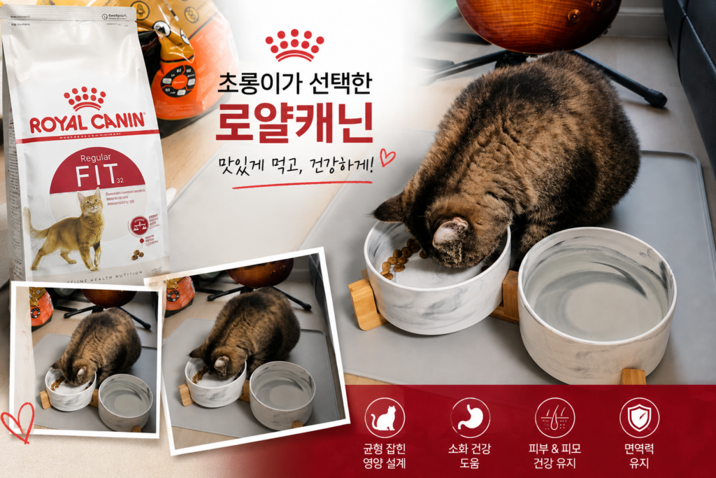 로얄캐닌블로그대표이미지